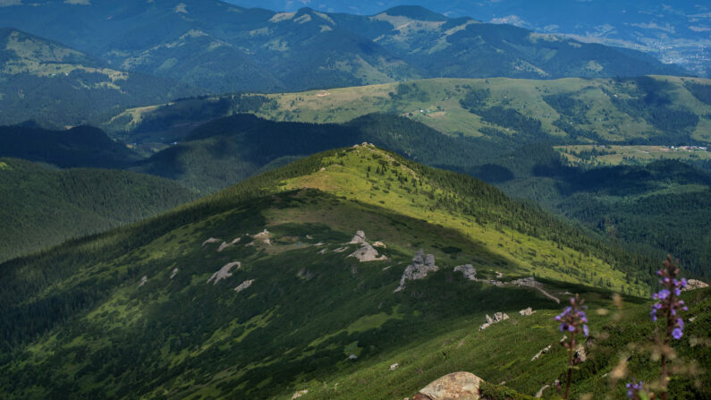 widokowa trasa górska