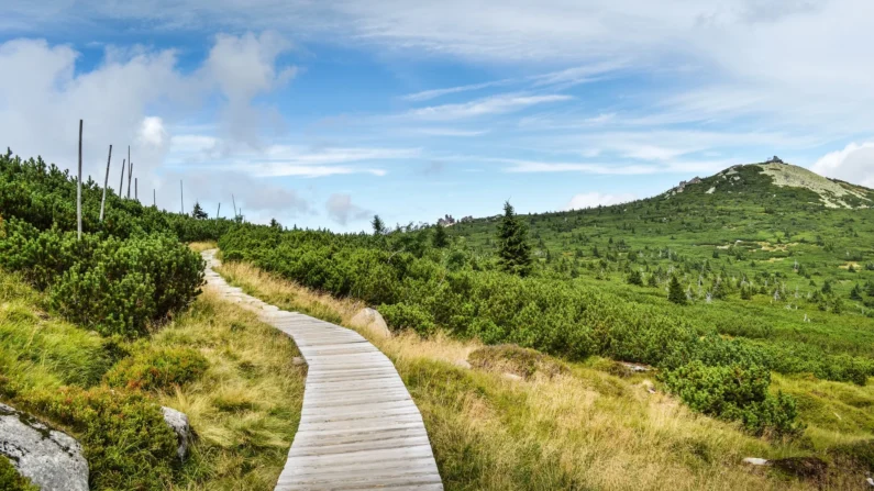 trasa piesza karkonosze