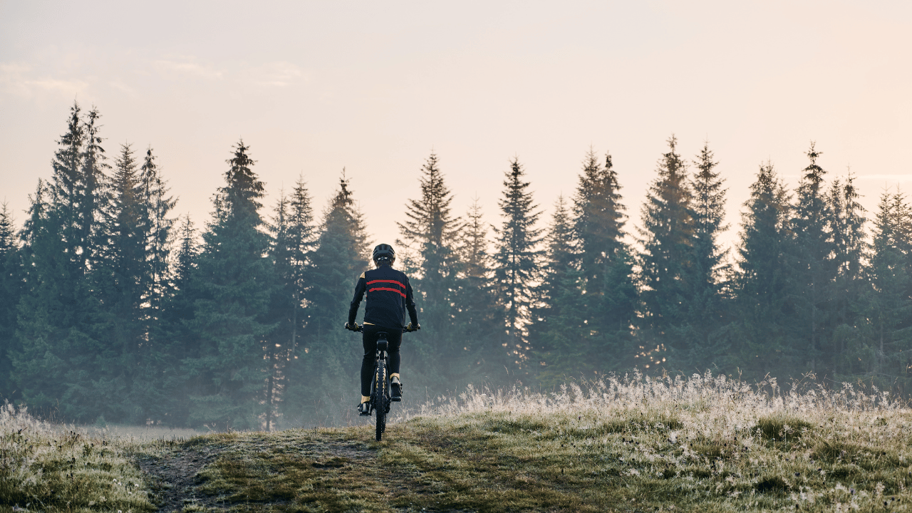 Świeradów Zdrój singletrack: trasy, mapa i poziomy trudności